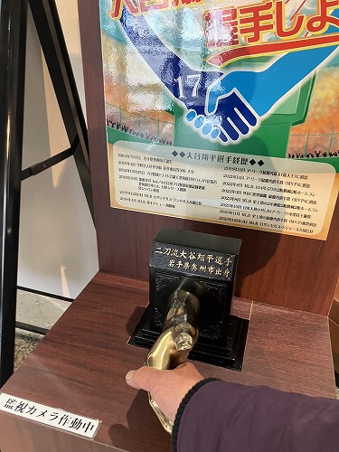 「ふるさとのお雛さま」2025年3月3日(月) ～ えさし郷土文化館　第二展示室|岩手県江刺市